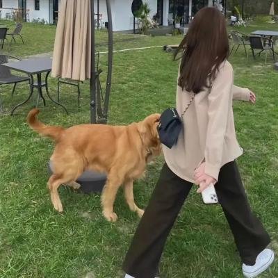 舞会惊魂